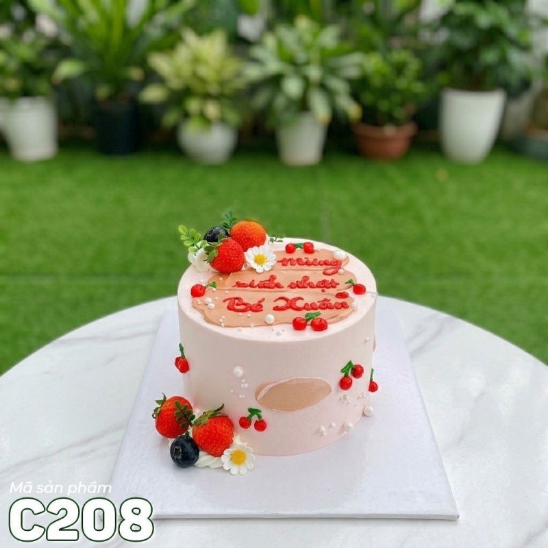C208 Bánh kem mini 14cm
