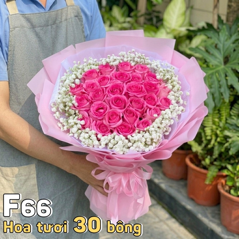 F66 Bó hoa tươi 30 bông