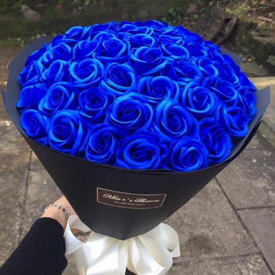 HS(8)750000