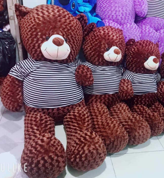 GB(4) gau teddy