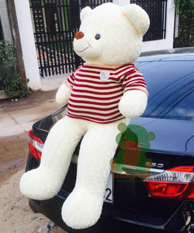 GB(9) 850000 gau teddy