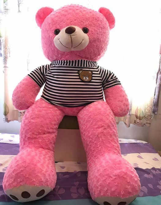 GB(11) gau teddy