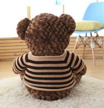 GB(12)  gau teddy