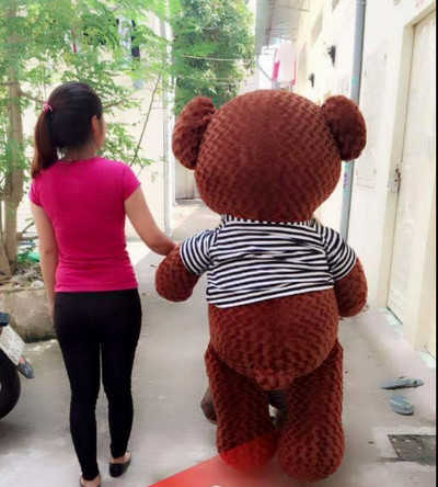 GB(15) gau teddy