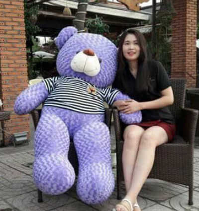 GB(16)  gau teddy