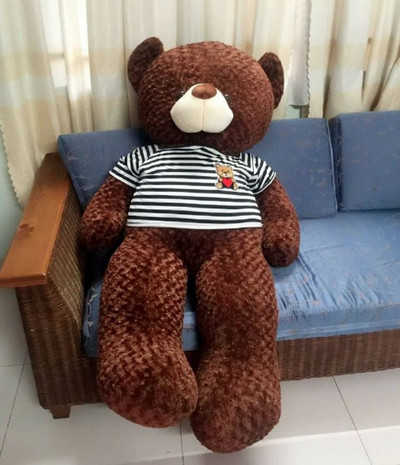 GB(18)  gau teddy