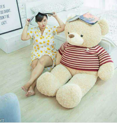 GB(19) gau teddy