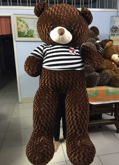 GB(20) gau teddy