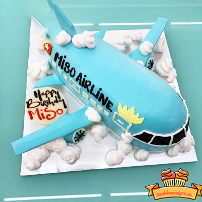 NGỘ NGHĨNH] 1001 chiếc Bánh Kem sinh nhậthình Máy bay ✈ độc đáo nhất